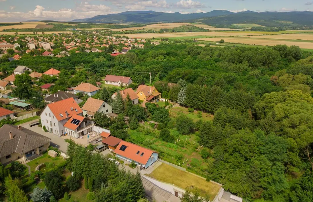 Villa Rigo Panzio-1